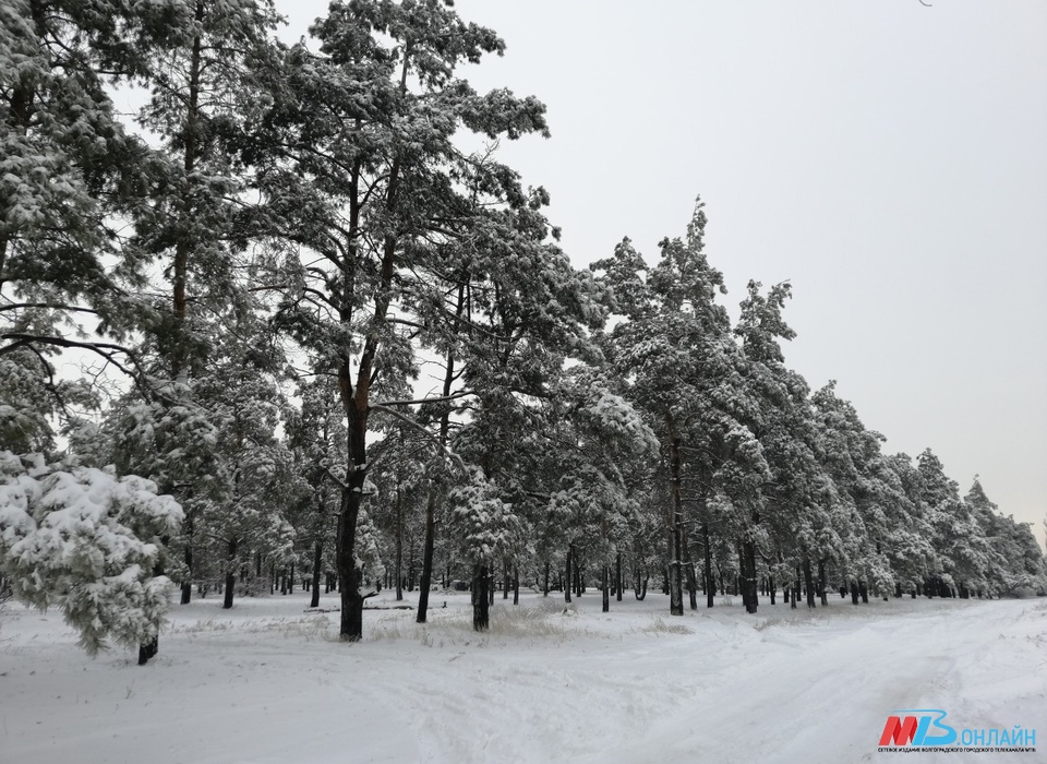 В Волгоградской области ударят морозы до -21º